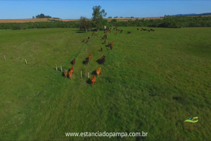 Fazenda Reconquista - Cachoeira do Sul.00_00_19_07.Quadro006_27a4b48f924e87ae4ee2ba5c1ca3aea783acf712.png